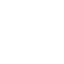 Logo Icon
